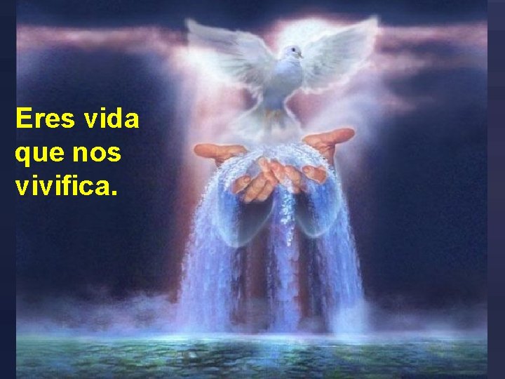Eres vida que nos vivifica. Eres vida que nos vivifica.
