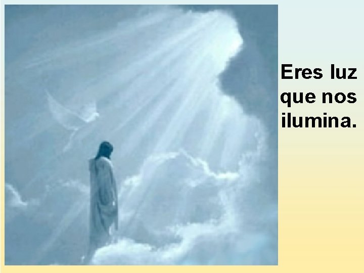 Eres luz que nos ilumina. Eres luz que nos ilumina.