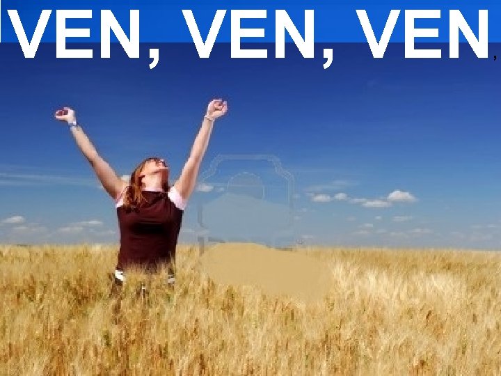 VEN, VEN , VEN, VEN ,