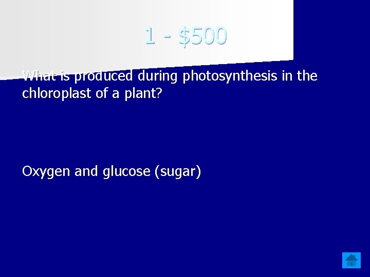 1 - $500 What is produced during photosynthesis in the chloroplast of a plant?