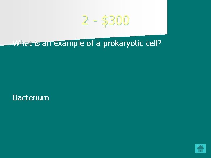 2 - $300 What is an example of a prokaryotic cell? Bacterium 