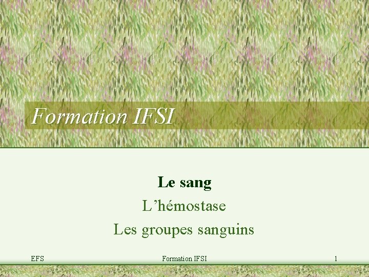 Formation IFSI Le sang L’hémostase Les groupes sanguins EFS Formation IFSI 1 