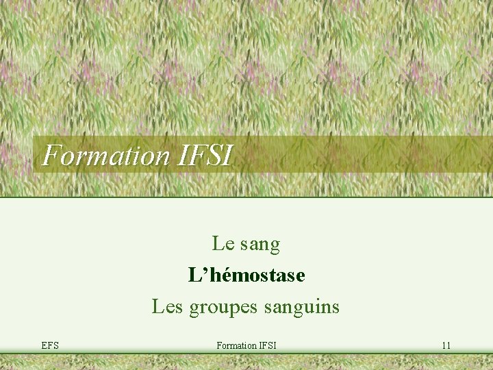 Formation IFSI Le sang L’hémostase Les groupes sanguins EFS Formation IFSI 11 