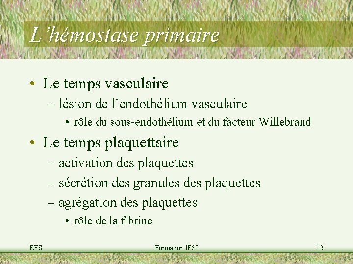 L’hémostase primaire • Le temps vasculaire – lésion de l’endothélium vasculaire • rôle du