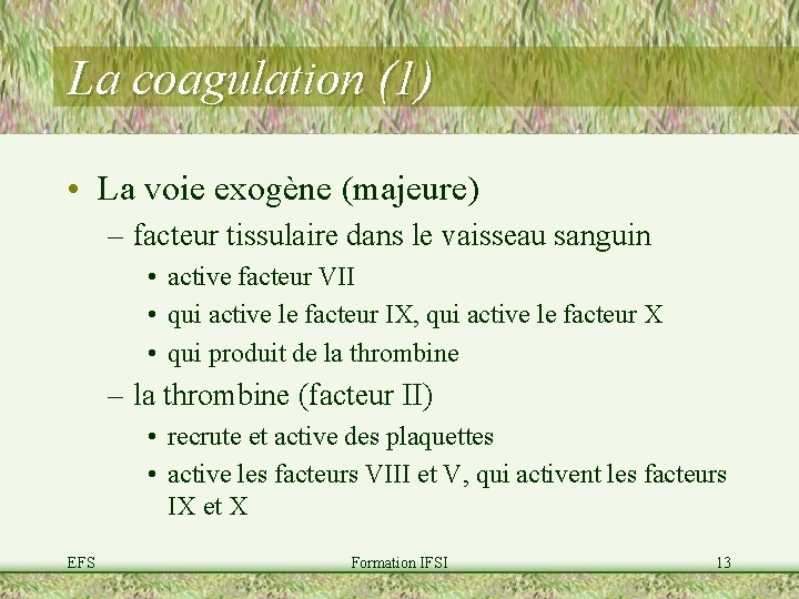La coagulation (1) • La voie exogène (majeure) – facteur tissulaire dans le vaisseau