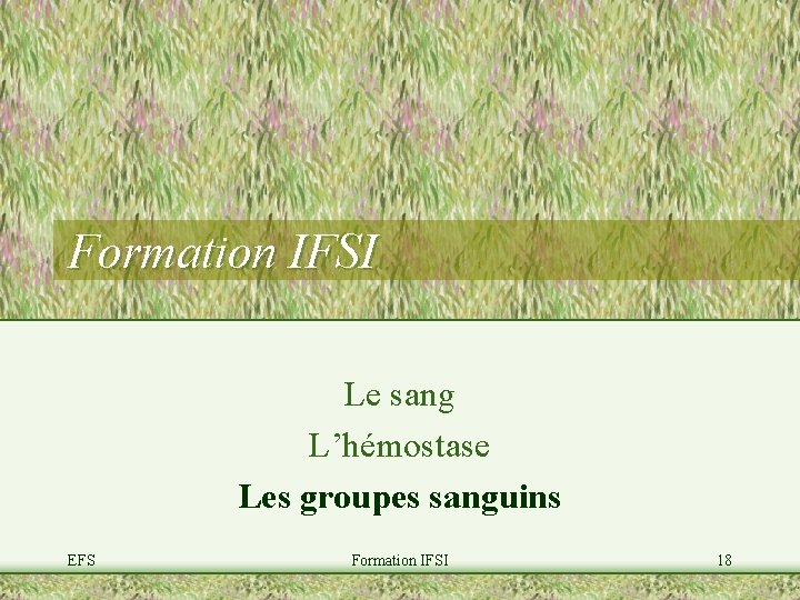 Formation IFSI Le sang L’hémostase Les groupes sanguins EFS Formation IFSI 18 