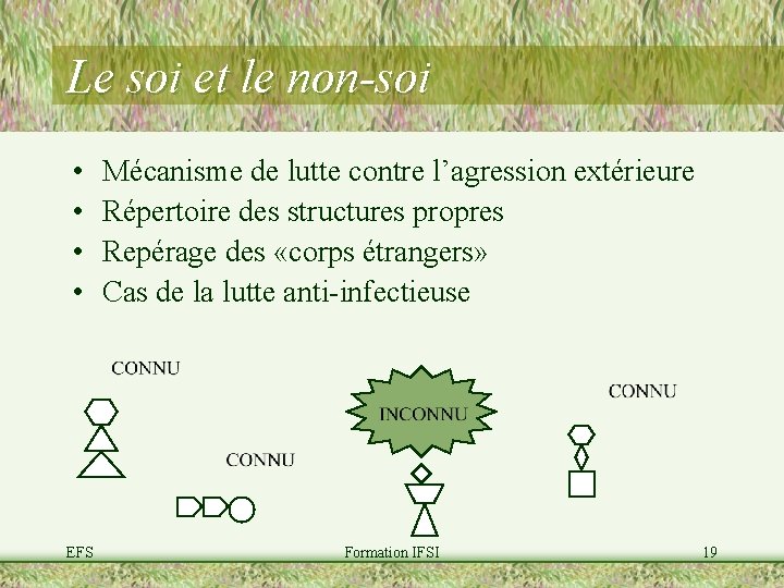 Le soi et le non-soi • • EFS Mécanisme de lutte contre l’agression extérieure