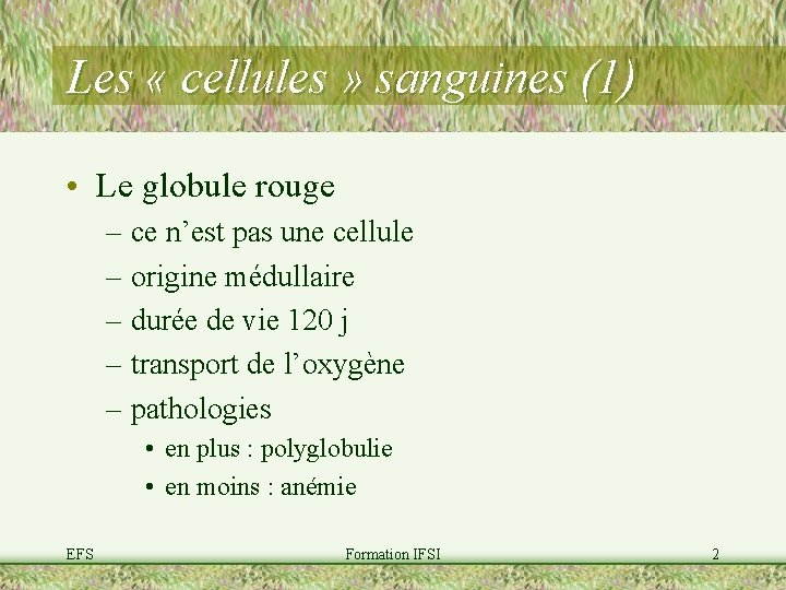 Les « cellules » sanguines (1) • Le globule rouge – ce n’est pas