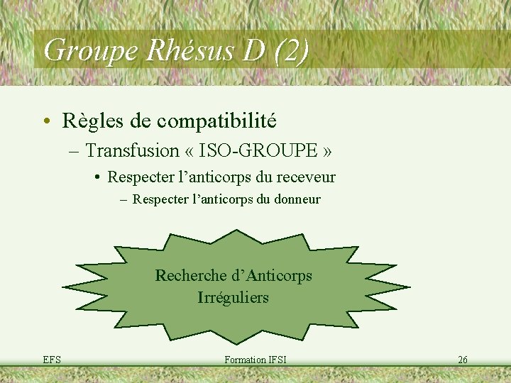 Formation IFSI Le sang Lhmostase Les groupes sanguins