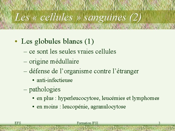 Les « cellules » sanguines (2) • Les globules blancs (1) – ce sont