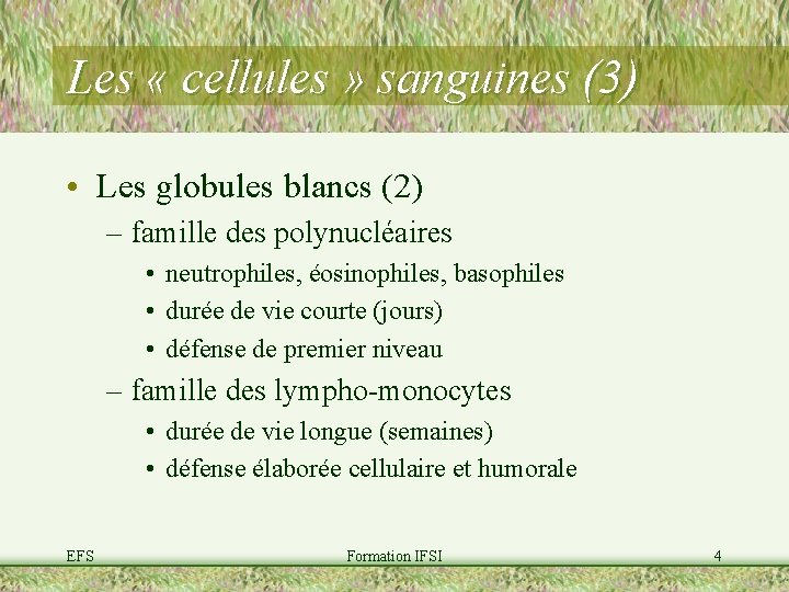 Les « cellules » sanguines (3) • Les globules blancs (2) – famille des