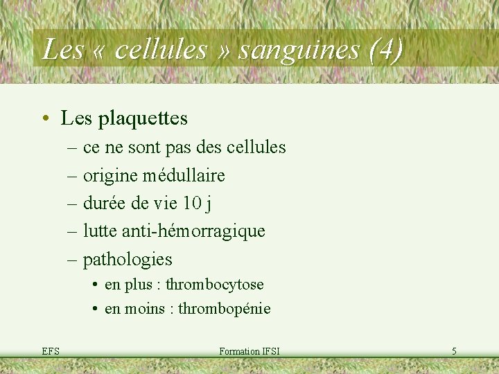Les « cellules » sanguines (4) • Les plaquettes – ce ne sont pas