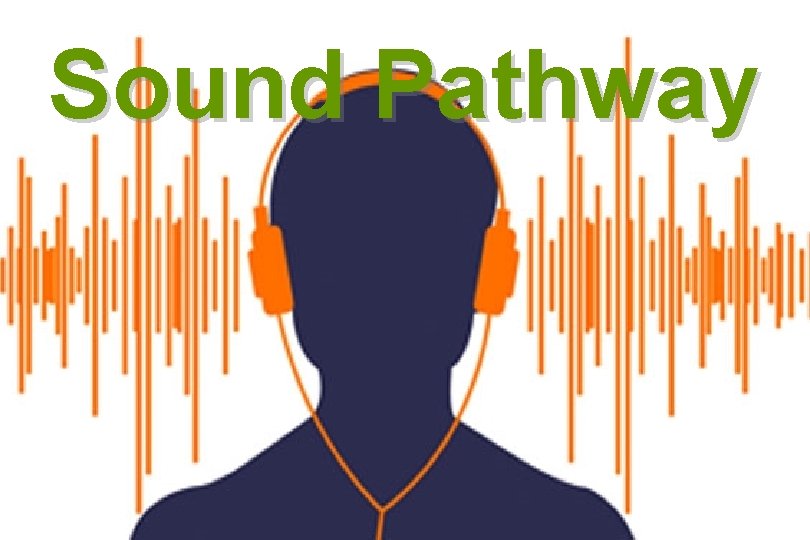 Sound Pathway 
