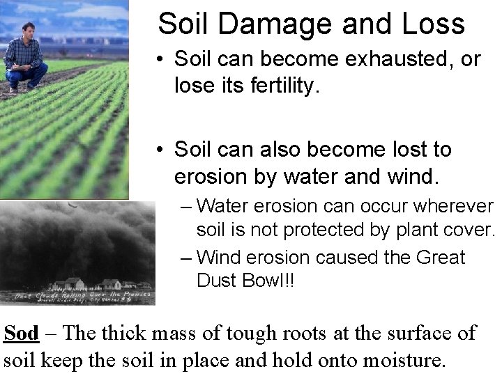 Soil Damage and Loss • Soil can become exhausted, or lose its fertility. •