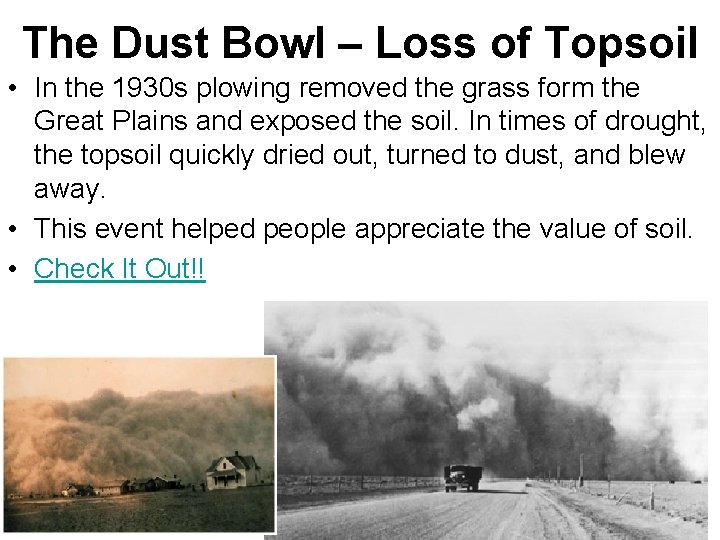 The Dust Bowl – Loss of Topsoil • In the 1930 s plowing removed