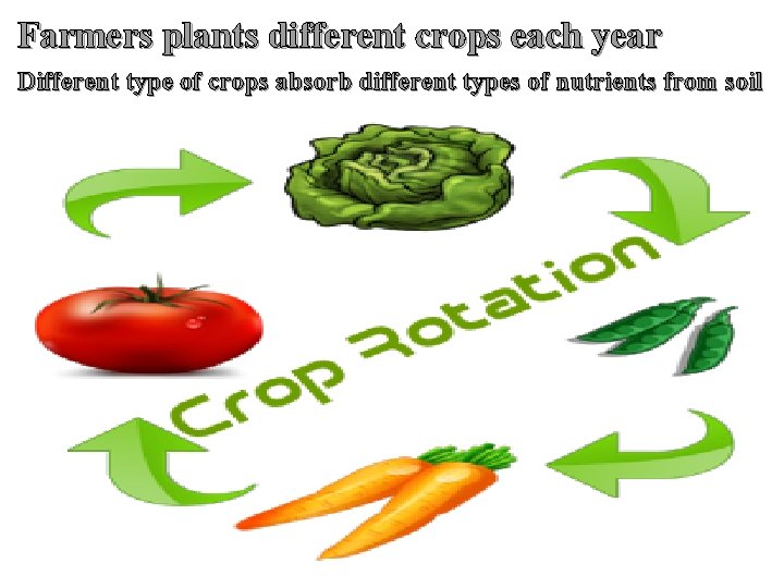 Farmers plants different crops each year Different type of crops absorb different types of