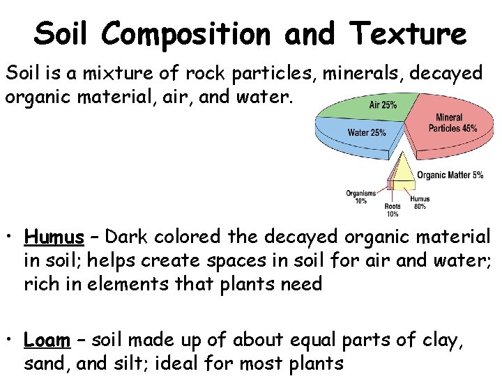 Soil Composition and Texture Soil is a mixture of rock particles, minerals, decayed organic