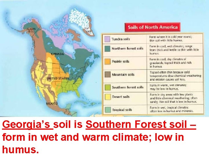 Georgia’s soil is Southern Forest soil – form in wet and warm climate; low