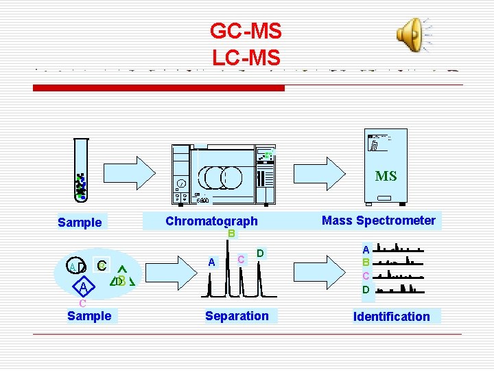 GC-MS LC-MS HEWLETT Mass S e PACKARD 5972 A electi v Detect or 1.