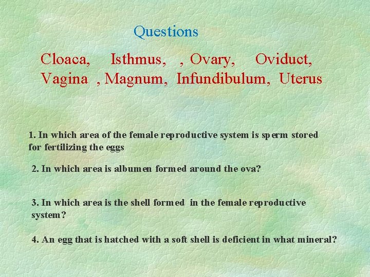 Questions Cloaca, Isthmus, , Ovary, Oviduct, Vagina , Magnum, Infundibulum, Uterus 1. In which