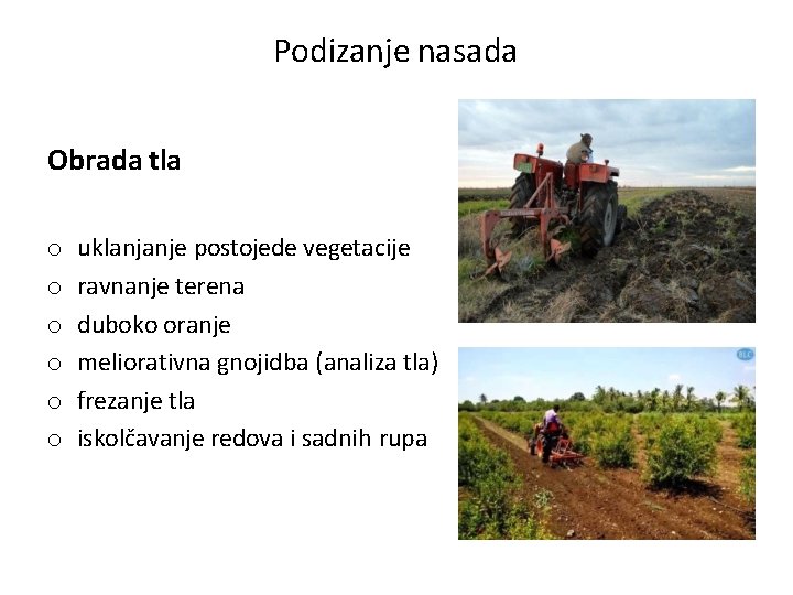 Podizanje nasada Obrada tla o o o uklanjanje postojede vegetacije ravnanje terena duboko oranje