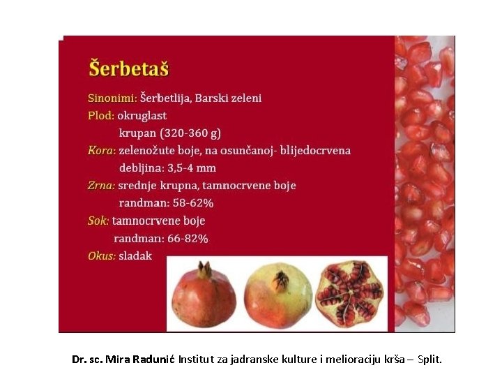 Dr. sc. Mira Radunić Institut za jadranske kulture i melioraciju krša – Split. 