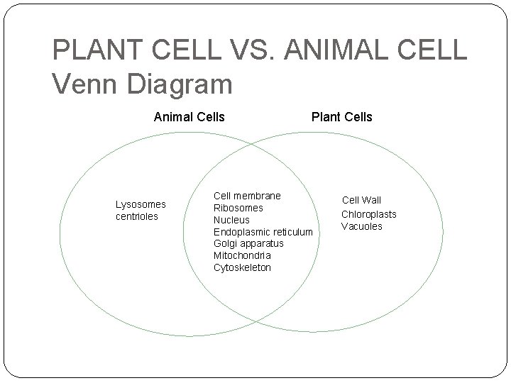 Venn Diagrams PLANT CELL VS. ANIMAL CELL Venn Diagram Section 7 -2 Animal Cells