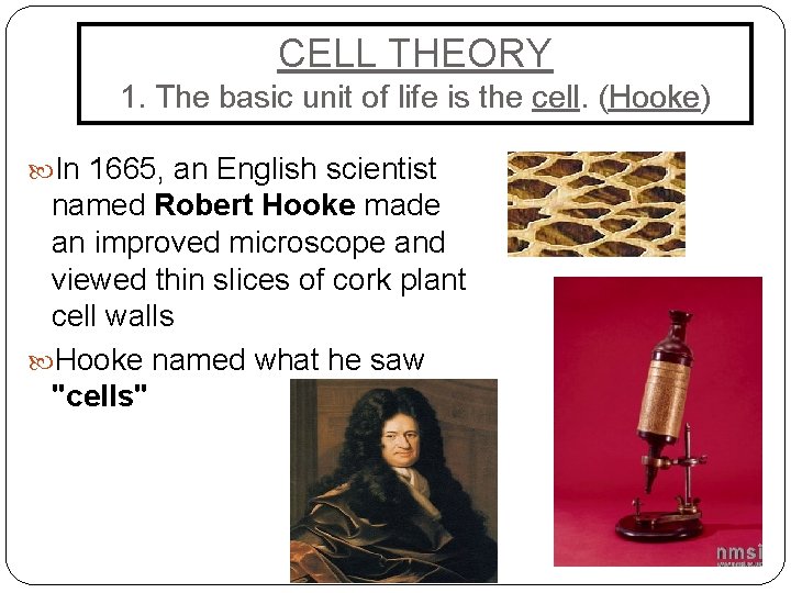 CELL THEORY 1. The basic unit of life is the cell. (Hooke) In 1665,