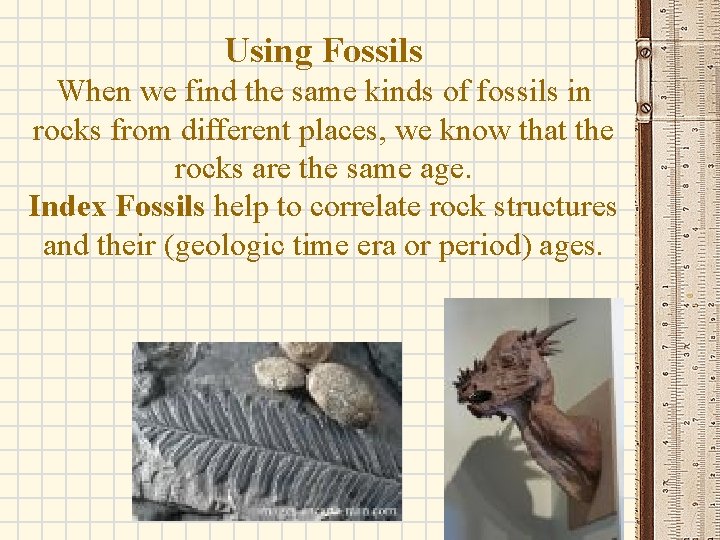 Using Fossils When we find the same kinds of fossils in rocks from different