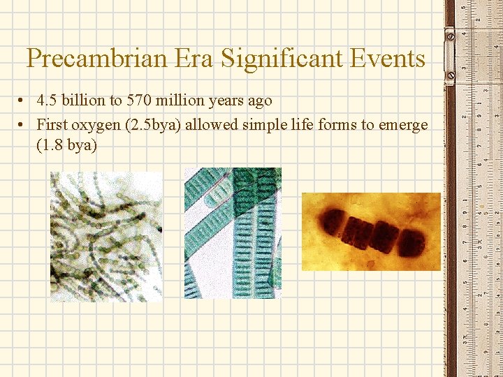Precambrian Era Significant Events • 4. 5 billion to 570 million years ago •