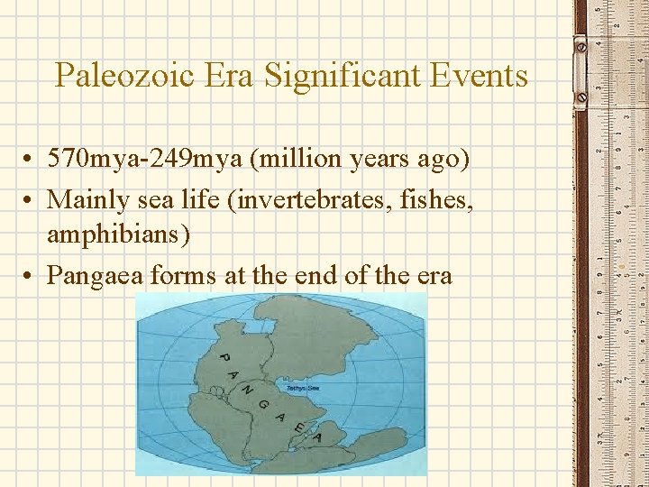 Paleozoic Era Significant Events • 570 mya-249 mya (million years ago) • Mainly sea