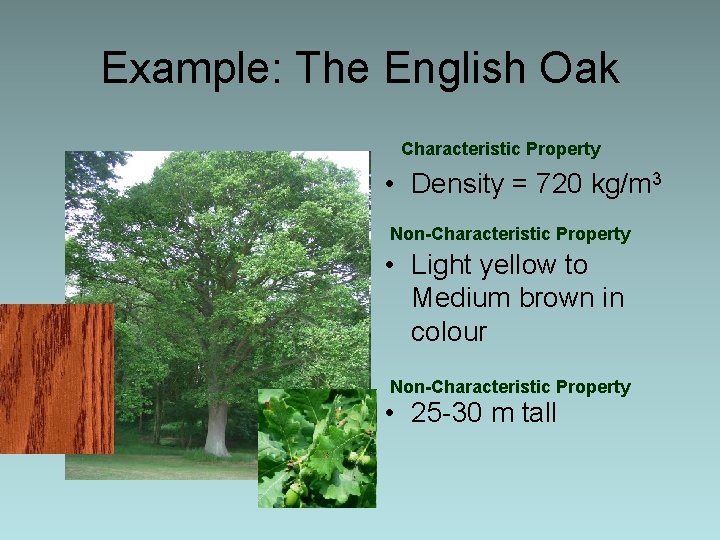 Example: The English Oak Characteristic Property • Density = 720 kg/m 3 Non-Characteristic Property