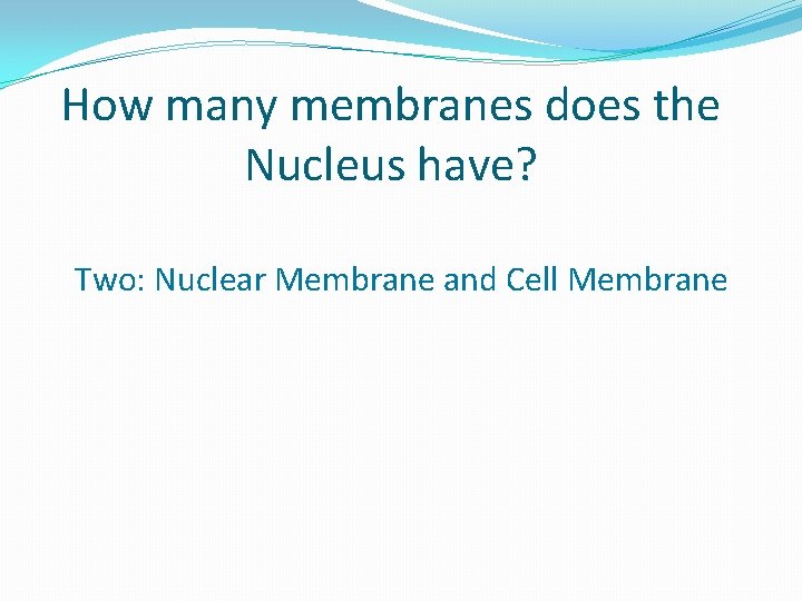 How many membranes does the Nucleus have? Two: Nuclear Membrane and Cell Membrane 