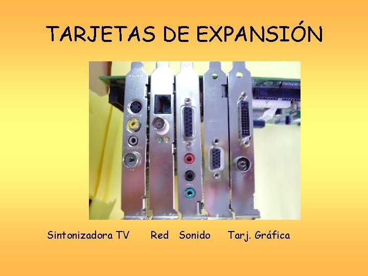 TARJETAS DE EXPANSIÓN Sintonizadora TV Red Sonido Tarj. Gráfica 