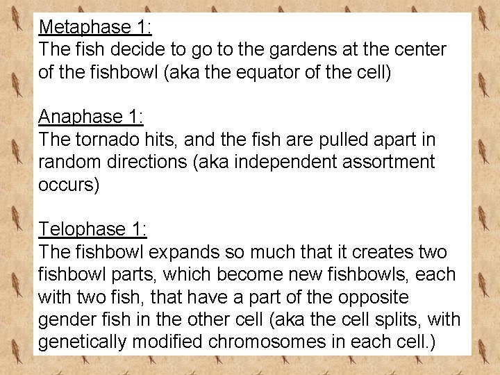 Metaphase 1: The fish decide to go to the gardens at the center of