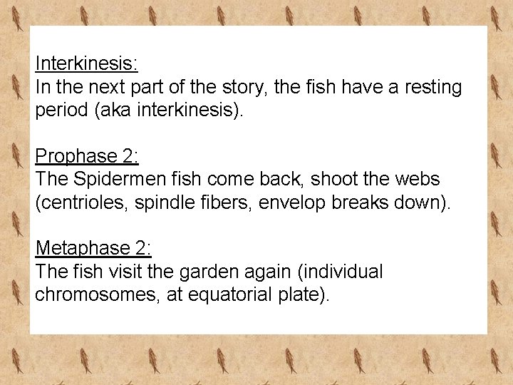 Interkinesis: In the next part of the story, the fish have a resting period