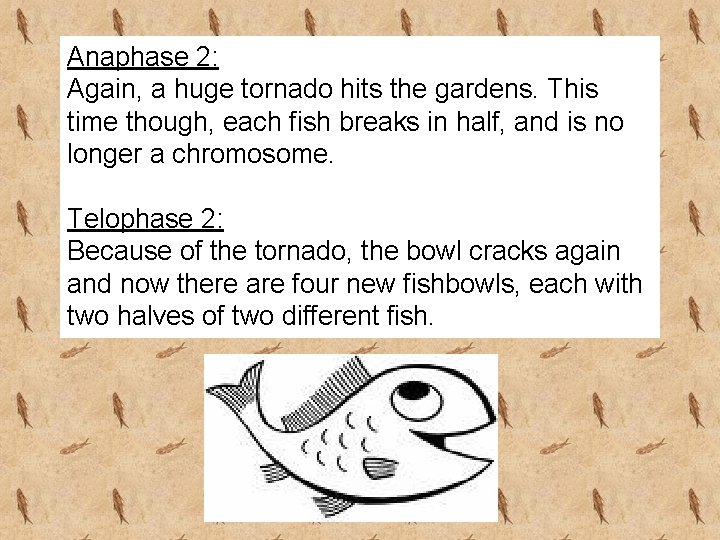 Anaphase 2: Again, a huge tornado hits the gardens. This time though, each fish