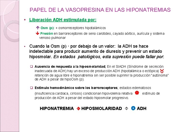 PAPEL DE LA VASOPRESINA EN LAS HIPONATREMIAS § Liberación ADH estimulada por: Osm (p):