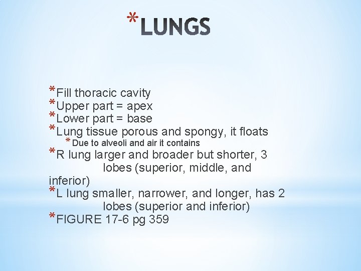 * *Fill thoracic cavity *Upper part = apex *Lower part = base *Lung tissue