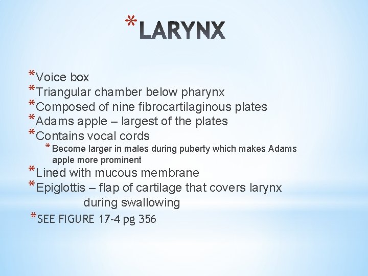 * *Voice box *Triangular chamber below pharynx *Composed of nine fibrocartilaginous plates *Adams apple