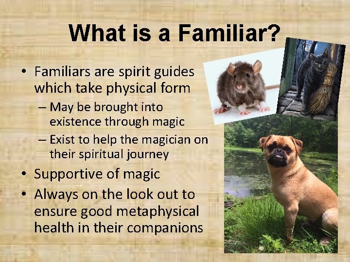 What is a Familiar? • Familiars are spirit guides which take physical form –
