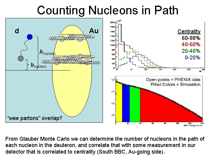 Counting Nucleons in Path d Au bnucleon Centrality 60 -88% 40 -60% 20 -40%