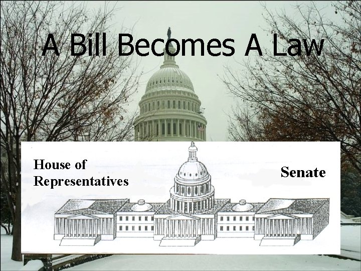A Bill Becomes A Law House of Representatives Senate 