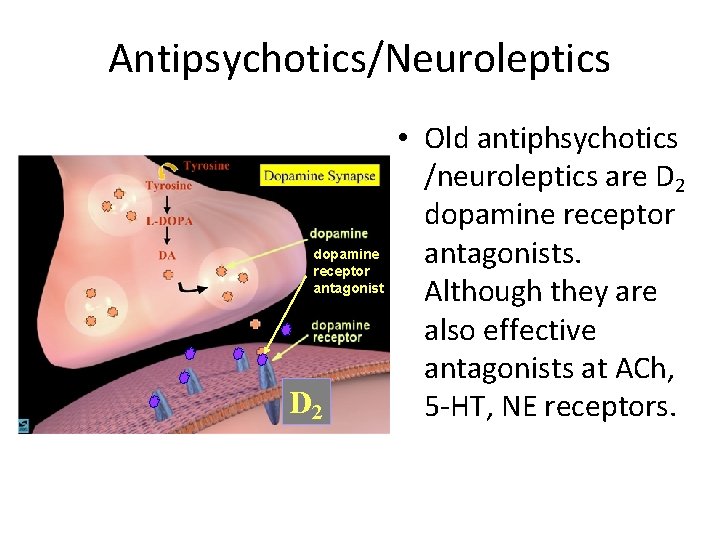 Antipsychotics/Neuroleptics dopamine receptor antagonist D 2 • Old antiphsychotics /neuroleptics are D 2 dopamine