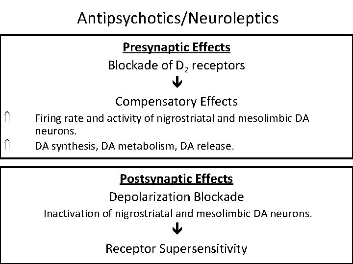 Antipsychotics/Neuroleptics Presynaptic Effects Blockade of D 2 receptors Compensatory Effects Ý Ý Firing rate