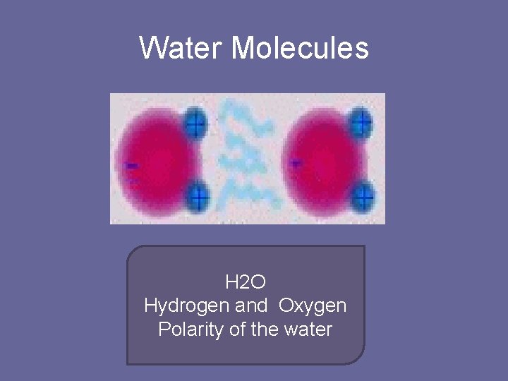 Water Molecules H 2 O Hydrogen and Oxygen Polarity of the water 