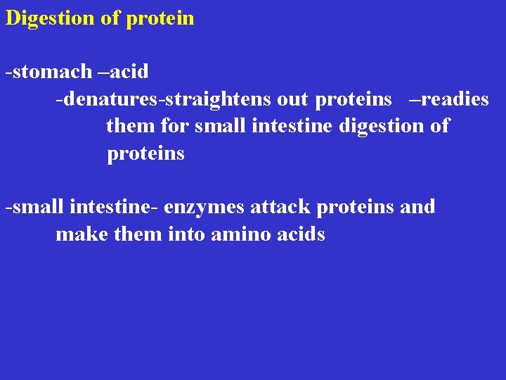 Digestion of protein -stomach –acid -denatures-straightens out proteins –readies them for small intestine digestion