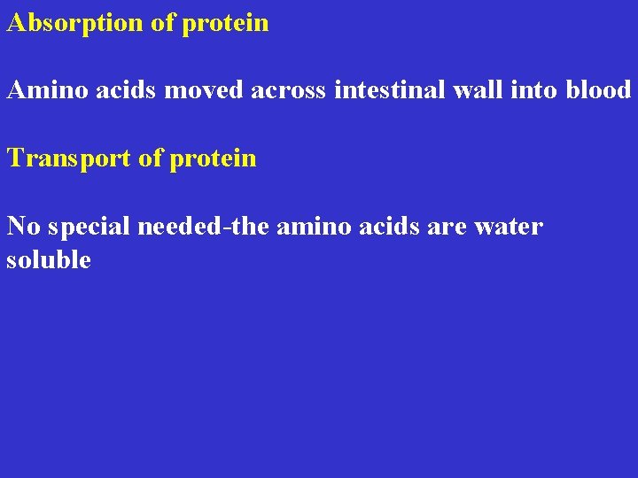 Absorption of protein Amino acids moved across intestinal wall into blood Transport of protein