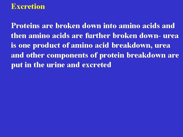 Excretion Proteins are broken down into amino acids and then amino acids are further