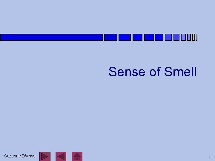 Sense of Smell Suzanne D'Anna 1 